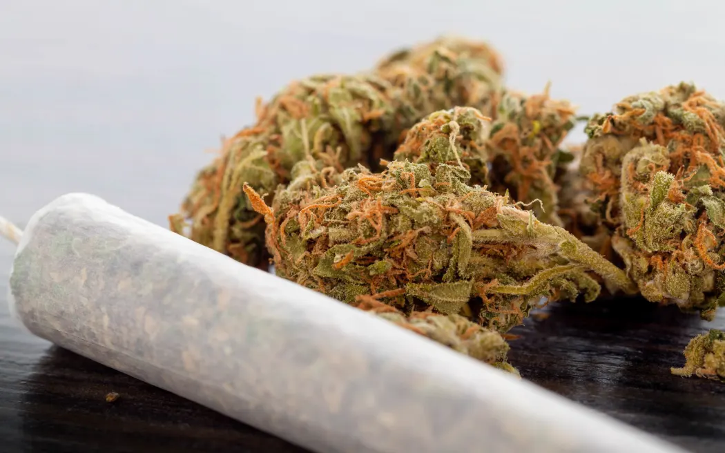 Buy Marijuana Online Europe – Shop EU-Legal Cannabis Extracts, Carts & Edibles with Fast Delivery